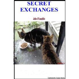 Secret Exchanges Image